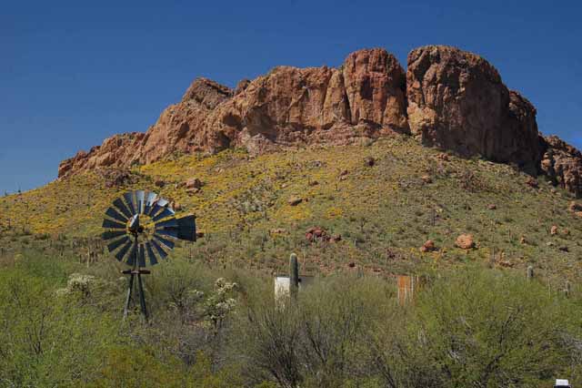 spring time in the Az desert